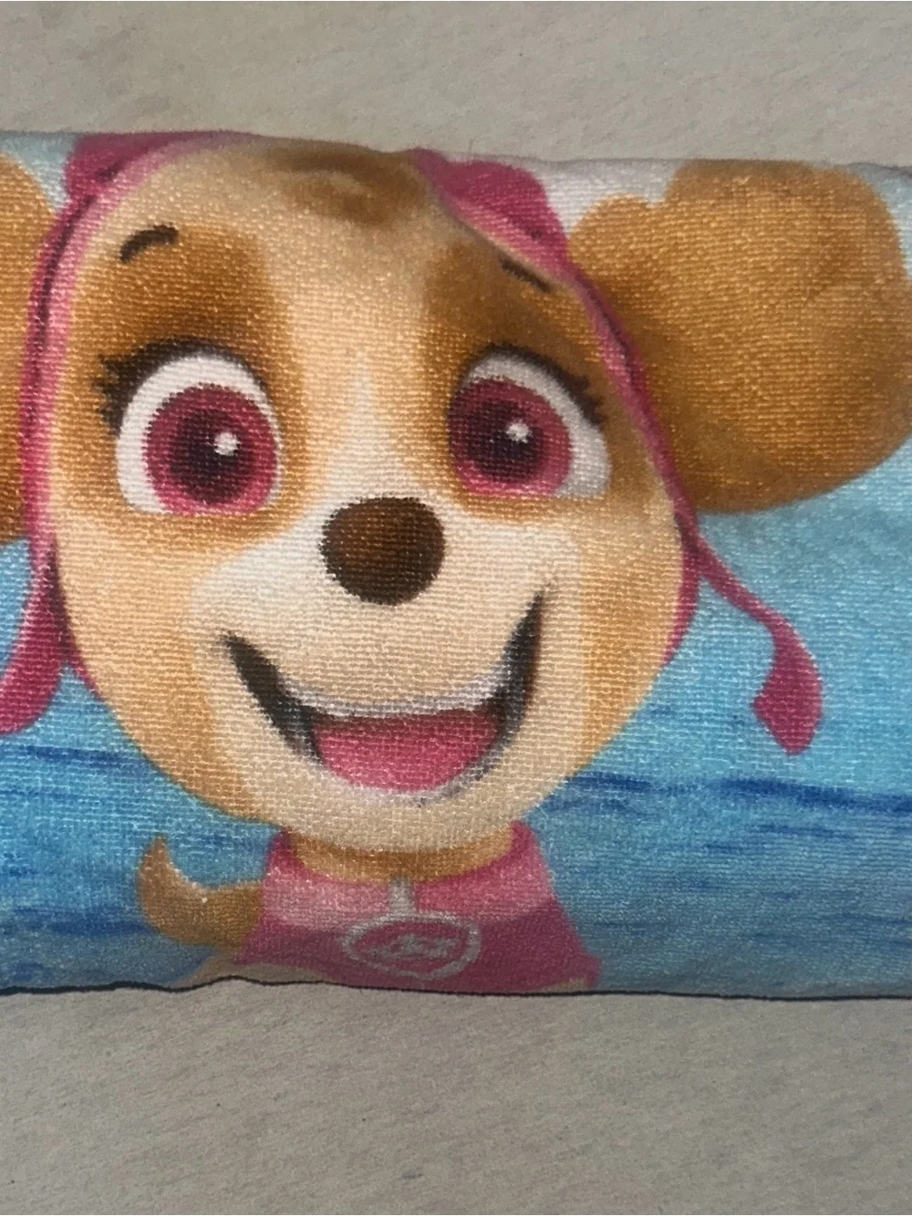 Paw Patrol Blue and Pink Skye Kids Towel